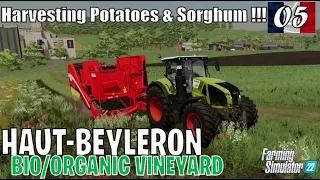 Harvesting Potatoes & Sorghum | BIO/ORGANIC VINEYARD in HAUT-BEYLERON #05 | FS22 Gameplay PS5/HD