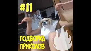 ЛУЧШИЕ ПРИКОЛЫ 2019 ТЕСТ НА ПСИХИКУ! Ржака до слез УГАР! BEST FUNNY JOKES | MEMES COMPILATION