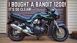I Bought A Bandit 1200S! - SO CLEAN!