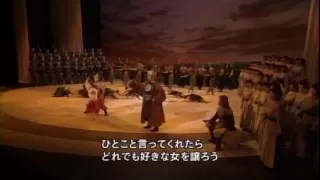 Polovetsian Dances(HD)