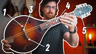 How to SET-UP a Mandolin in 5 Steps