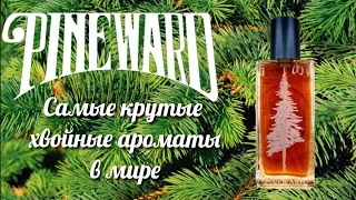 Обзор самых крутых 🌲хвойных ароматов в мире PINEWARD 2 часть