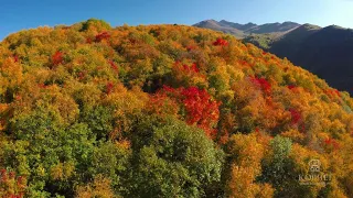 Северная Осетия.  Времена года. ОСЕНЬ  / North Ossetia. Seasons. AUTUMN