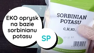 SP👌Ekologiczny grzybobójczy🔥oprysk na: zaraza , zgorzel siewek, mączniak ogórka🥒 nawóz potasowy, 2w1