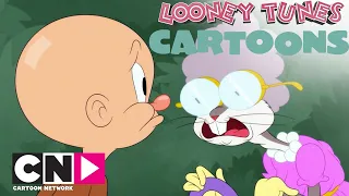 La famiglia di Taddeo | Looney Tunes Cartoons | Cartoon Network Italia
