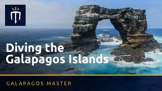 Diving the Galapagos Islands