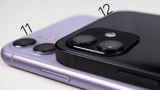 iPhone 11 vs iPhone 12 After 3 Months - Not worth it..