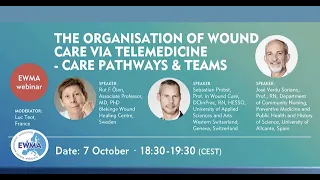 Organisation of telemedicine in wound management - Care pathways & teams