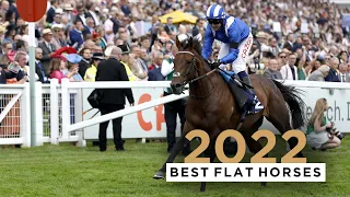 TOP 5 FLAT HORSES OF 2022