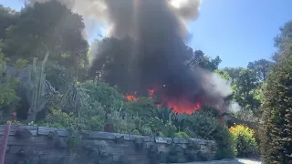 Fire at the Big Sur Bakery (Credit: Ivy Jayne LaVelle)