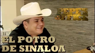 EL POTRO DE SINALOA VUELVE CON TODO - Pepe's Office