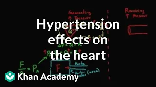 Hypertension effects on the heart | Health & Medicine | Khan Academy
