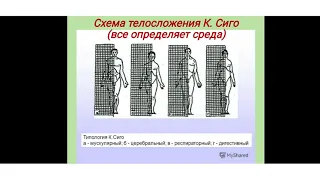 Лекция Основы конституциональной антропологии