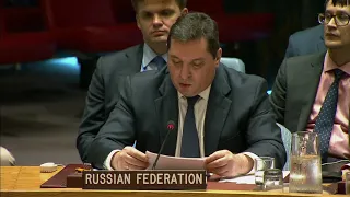 В.К.Сафронков на заседании Совета Безопасности ООН по ситуации в Йемене