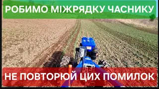 #часник  Як закрити вологу і не забрати в себе урожай?