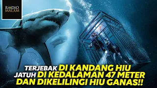 KAKAK BERADIK INI BERTAHAN HIDUP DI DALAM KURUNGAN HIU - Alur Film 47 Meters Down (2017)