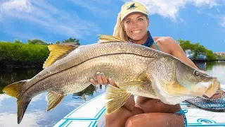 MASSIVE Snook Under Bridges! Inshore Fishing Jupiter, Florida