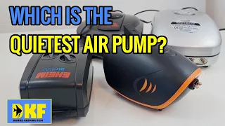 WHICH IS THE QUIETEST AIR PUMP?