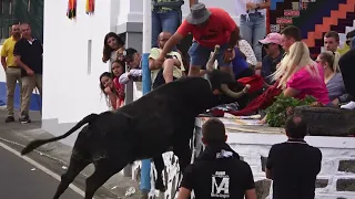 Ganadaria HF - Ribeira Manuel Vieira 2022 - Ilha Terceira - Açores