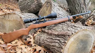 Ruger 10/22 100 yards how will it do?