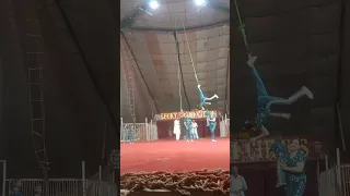 love u Irani circus