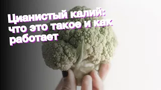 Цианистый калий: что это такое и как работает