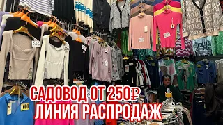 ШОК ‼️ОТ 250₽ САДОВОД ЛИНИЯ РАСПРОДАЖ 💥ОДЕЖДА У ДАНАЯ #садовод #рыноксадовод