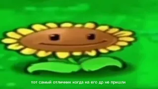 подсолнух танцует