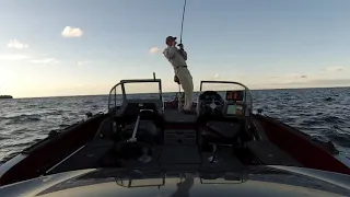 Big Mille Lacs muskies in July solo