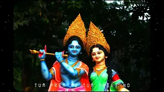 Tum Prem Ho Tum Preet Ho (Radha Krishna) [SLOWED + REVERB] | Bhajan Lofi Mix |