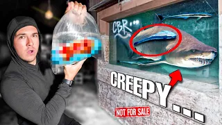 Buying CREEPY FISH OFF The WEB For My Saltwater Pond...