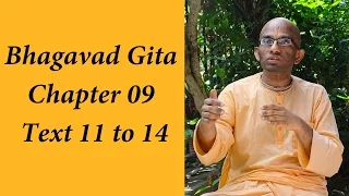 Bhakti Shastri (099) - Bhagavad Gita Chapter 09 Text 11 to 14