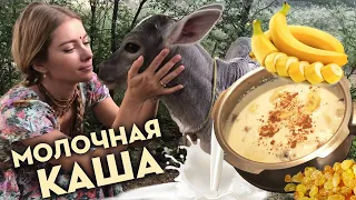 🍇🍌 МОЛОЧНАЯ КАША 🍇🍌 из дальи с изюмом и бананами!