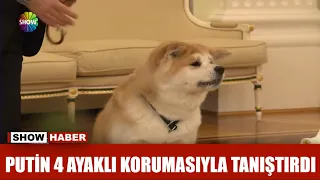 Putin 4 ayaklı korumasıyla tanıştırdı