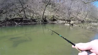 CREEK Fishing for TROUT (NEW PB!)