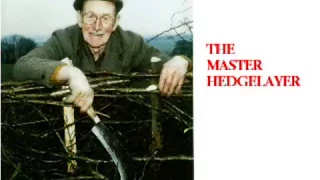 The Master hedgelayer