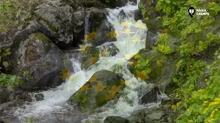 Наша Сибирь 4К: Горный водопад