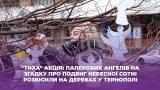 "Тиха" акція: паперових ангелів на згадку про подвиг Небесної Сотні розвісили на деревах у Тернополі