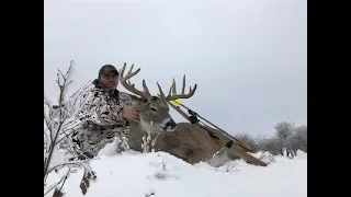 Wide Whitetail Buck with LongBow from GroundBlind