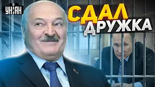 Лукашенко сдал Путина! Новые детали переговоров в Беларуси: чего добивался Кремль?