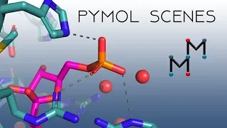 PyMOL: Working with Scenes (will save your butt!)