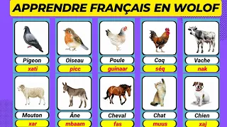 Apprendre français en wolof (les animaux)