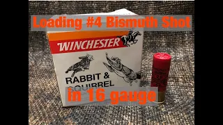 Loading #4 Bismuth shot in 16 gauge