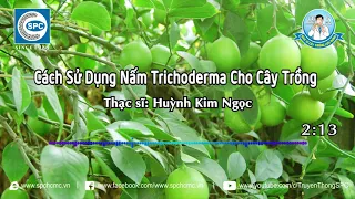 [Bác Sĩ Cây Trồng]#20: Cách Sử Dụng Nấm Trichoderma Cho Cây Trồng