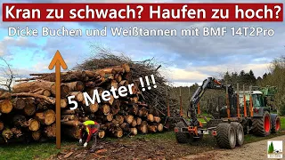 Kran zu schwach? Haufen zu hoch? Dicke Buchen und Weißtannen bringen den BMF14T2 Pro an die Grenze