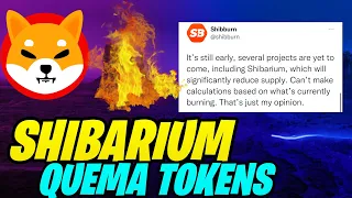 🚨 TIENES QUE SABER ESTO ANTES DE LA QUEMA DE SHIBA 🔥 Shiba Inu Criptomoneda 🚀 Noticias Shiba Inu Hoy