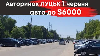 Автомобілі до $6000 на Луцькому авторинку 1 червня #авториноклуцьк