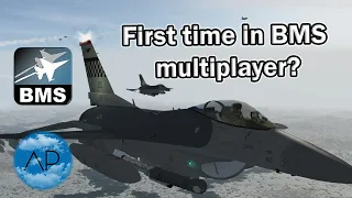 Falcon BMS 4.37 | What to expect Playing Online