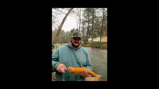 What A DAY!  Trout fishing Paint Creek.  A couple of firsts.