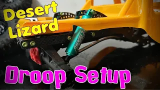 Desert Lizard Droop Shock setup